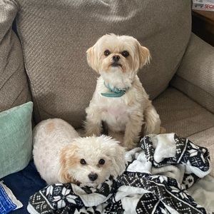 Meet your Posher, April